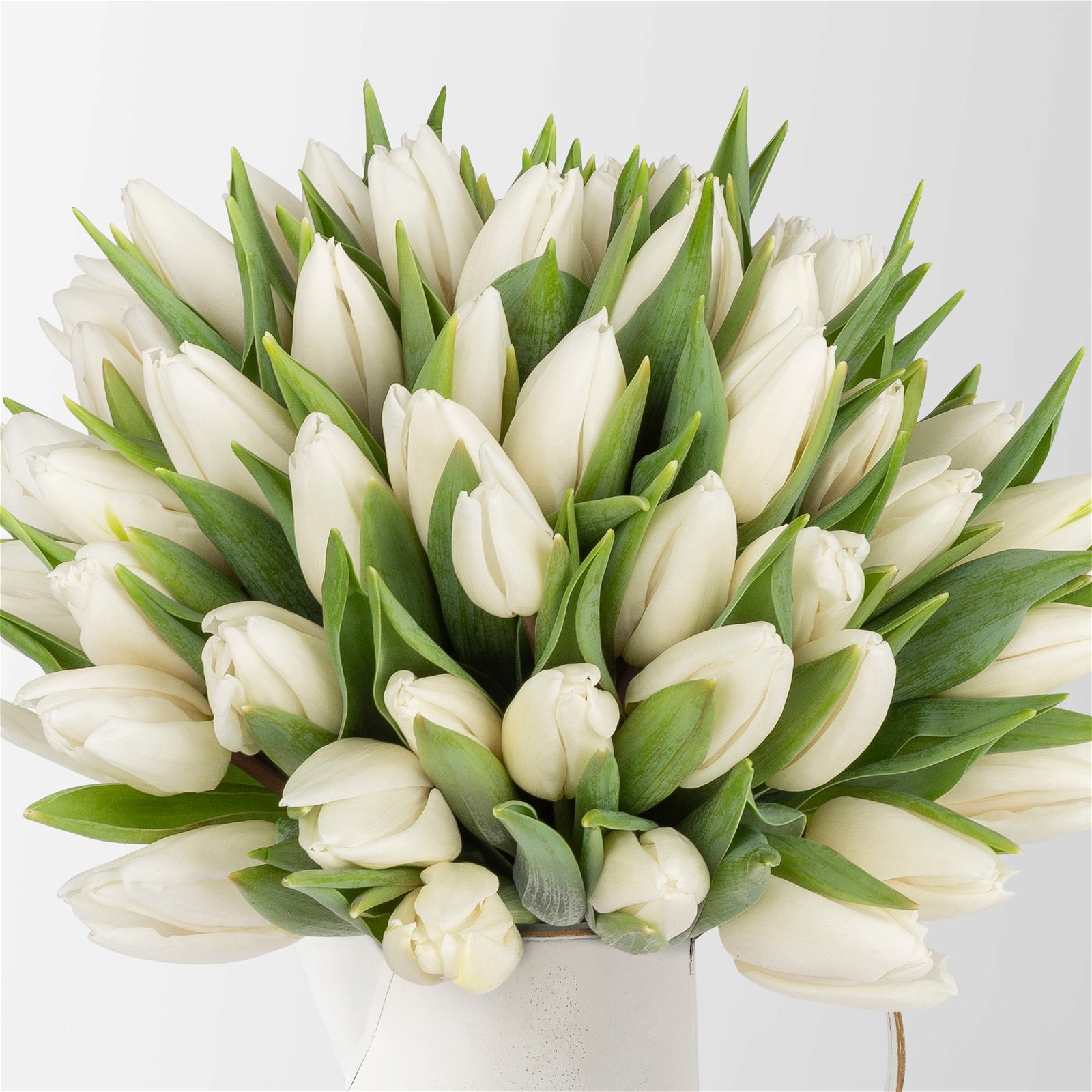 Blumenbund mit Tulpen, 50er-Bund, weiß, inkl. gratis Grußkarte