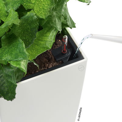 Lechuza 'Cubico 50', schwarz, ca. 50 x 50 x H 95 cm