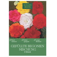 Kölles Beste Blumenknollen, Gefüllte Begonien Mischung Kölles Beste Blumenknollen, Gefüllte Begonien Mischung