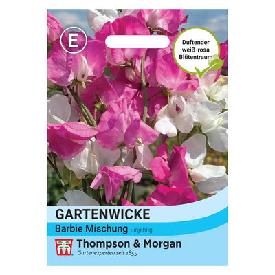 Thompson & Morgen Gartenwicke  Thompson & Morgen Gartenwicke