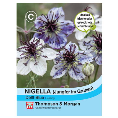 Nigella (Jungfer im Grünen) Delft Blue / einjährig, auffällig, blau-grau Nigella (Jungfer im Grünen) Delft Blue / einjährig, auffällig, blau-grau