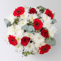 Blumenstrauß 'Prima' rot-weiß, handgebunden