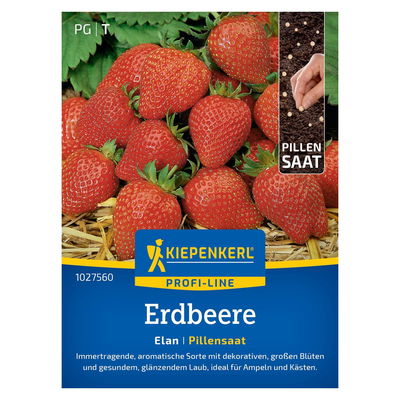 Pillensaat, Erdbeeren 'Elan', rot Pillensaat, Erdbeeren 'Elan', rot