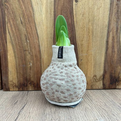 Amaryllis in Wachs, Dekor 'Pullover Animal', Farbe zufällig, Blüte weiß