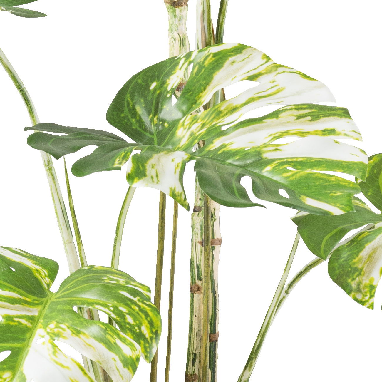 Kunstpflanze Monstera deliciosa variegata im Topf, Höhe ca. 160 cm