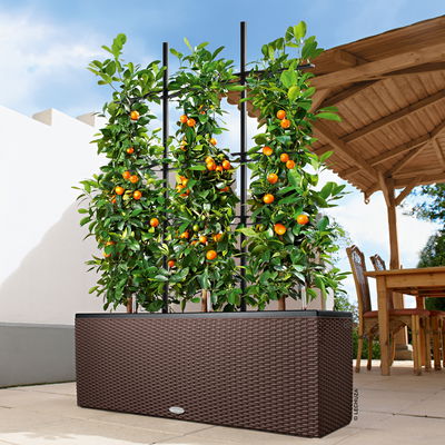 Lechuza 'Trio Cottage 30', mokka, ca. 100 x 32 x H 34 cm