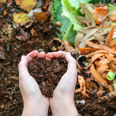 Neudorff Radivit® Kompost-Beschleuniger, 1 kg