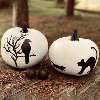 Speisekürbis Halloween weiß Speisekürbis Halloween weiß