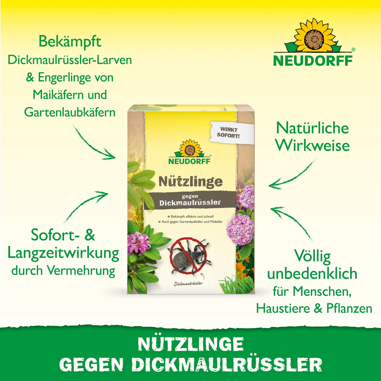 Neudorff Bestell-Set Nützlinge gegen Dickmaulrüssler, 5 Mio Stück Neudorff Bestell-Set Nützlinge gegen Dickmaulrüssler, 5 Mio Stück