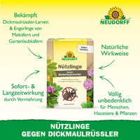 Neudorff Bestell-Set Nützlinge gegen Dickmaulrüssler, 5 Mio Stück Neudorff Bestell-Set Nützlinge gegen Dickmaulrüssler, 5 Mio Stück