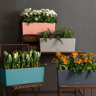 Lechuza 'Balconera Color 80', korallrot, ca. 79 x 19 x H 19 cm Lechuza 'Balconera Color 80', korallrot, ca. 79 x 19 x H 19 cm