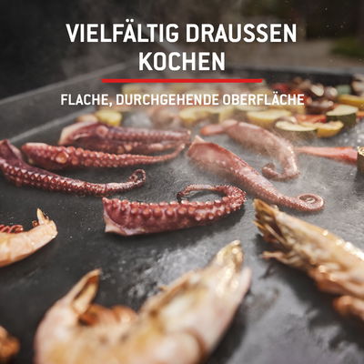 Weber Griddle, Premium-Plancha 56 cm, schwarz Weber Griddle, Premium-Plancha 56 cm, schwarz
