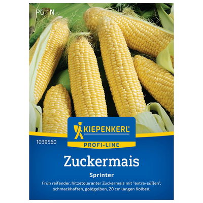 Saatgut Zuckermais 'Sprinter' Saatgut Zuckermais 'Sprinter'
