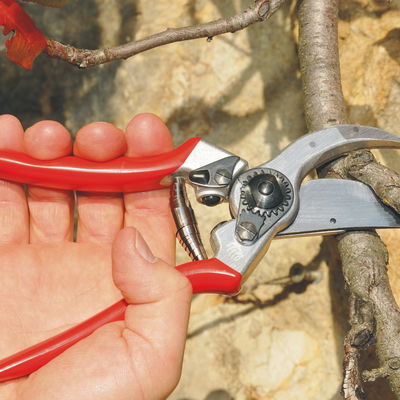 Felco Gartenschere Nr. 2