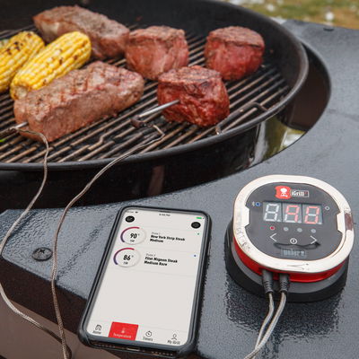 Weber® iGrill® 2 mit zwei Messfühlern