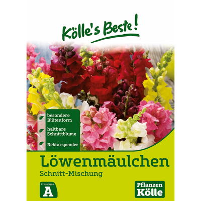 Kölles Beste Blumensamen Löwenmäulchen (Antirrhinum) Schnitt-Mix