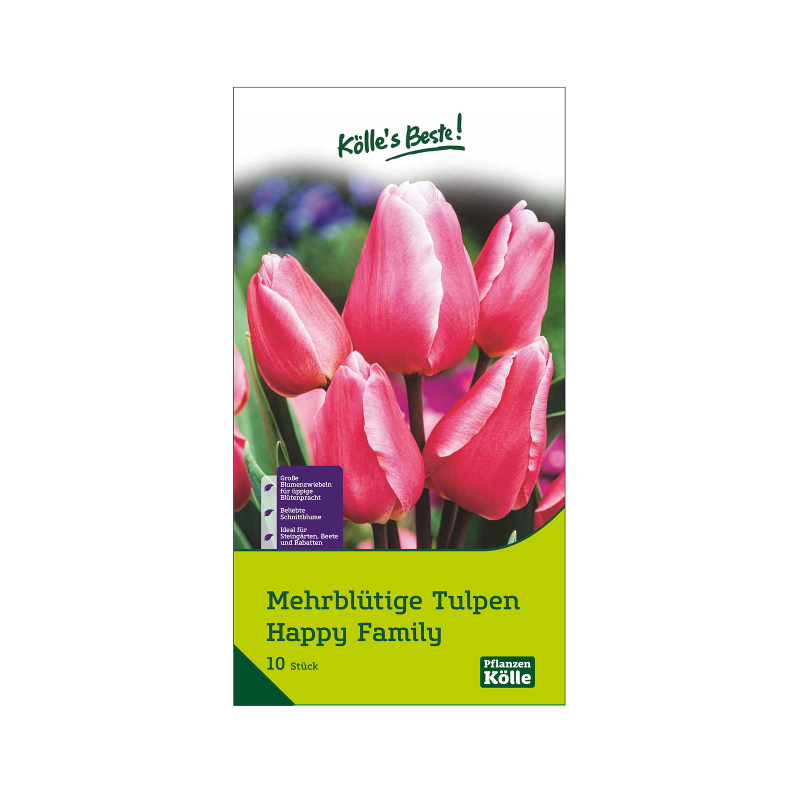 Mehrblütige Tulpe 'Happy Family', rosa, 10 Blumenzwiebeln