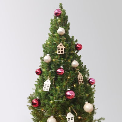 Weihnachtsbäumchen inkl. Deko, beere-rot, Höhe ca. 80 cm, Topf-Ø 25 cm