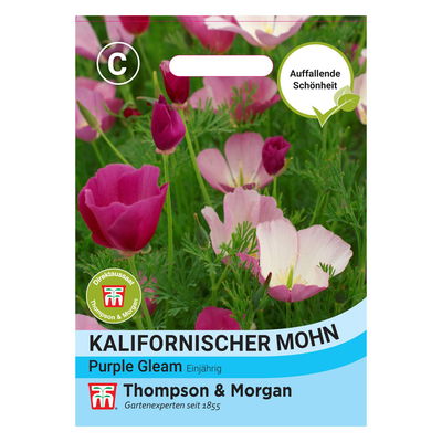 Thompson & Morgen Kalifornischer Mohn 