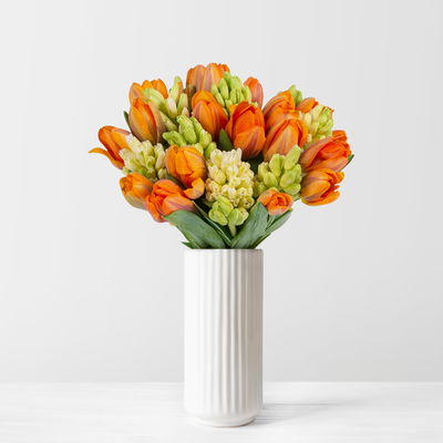 Schnittblumen-Mix aus 20 orangenen Tulpen & 9 weißen Hyazinthen