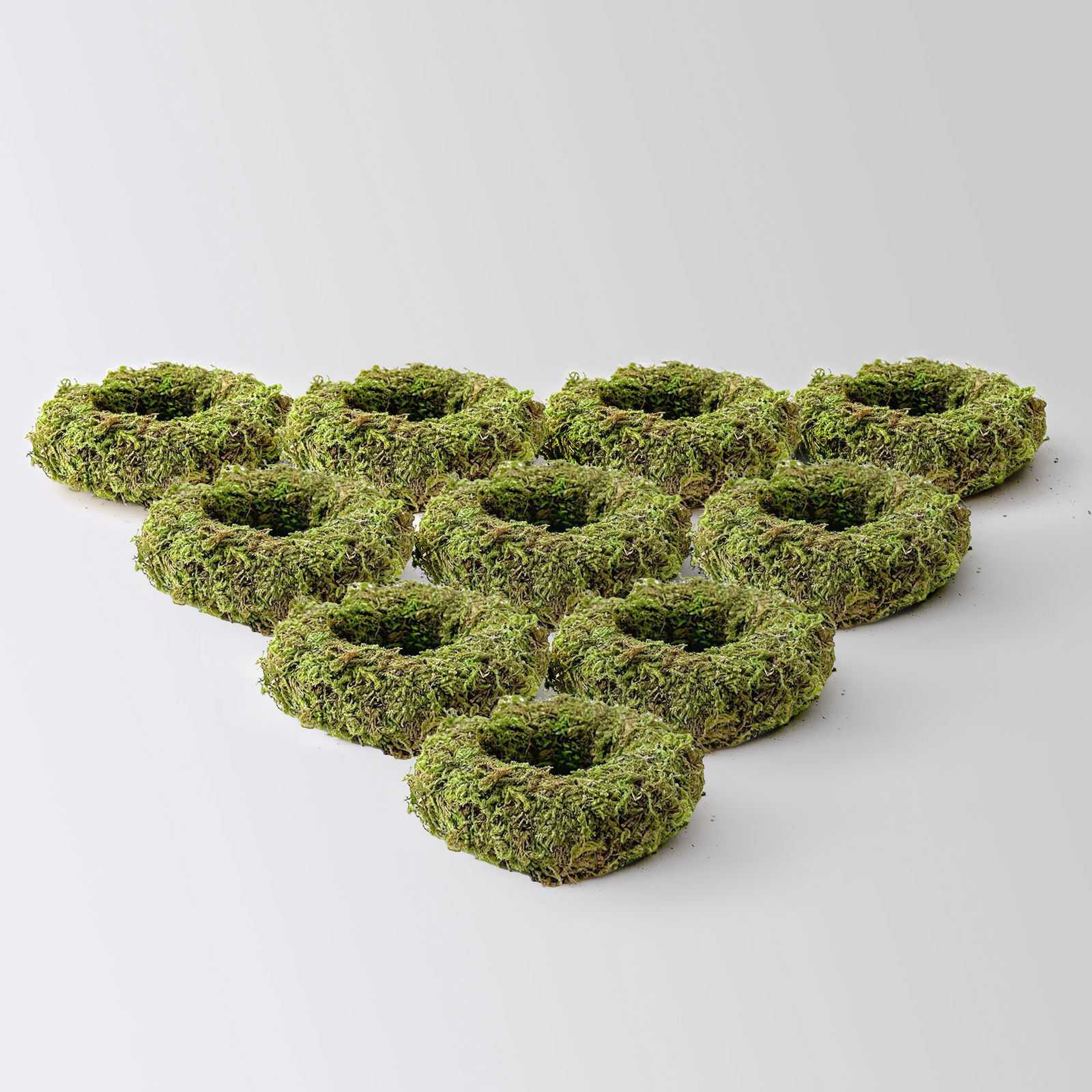 Asiamoos-Kranz, grün, Ø ca. 10 cm, 10 Stück