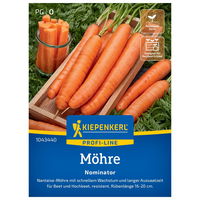 Saatgut Möhre 'Nominator'