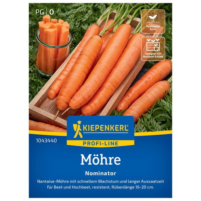 Saatgut Möhre 'Nominator' Saatgut Möhre 'Nominator'