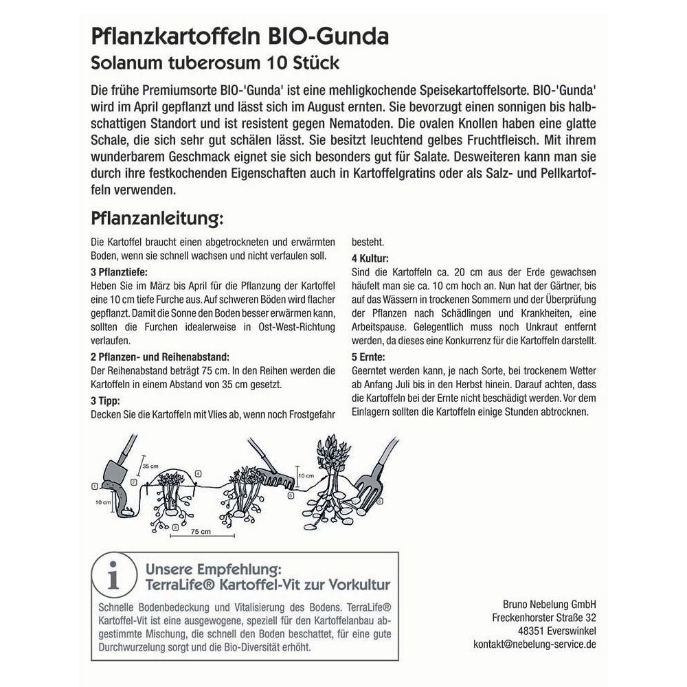 Pflanzkartoffel BIO 'G&a', 10 Kartoffeln