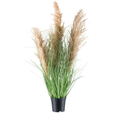 Kunstpflanze Natur-Schilfgras, Höhe ca. 75 cm