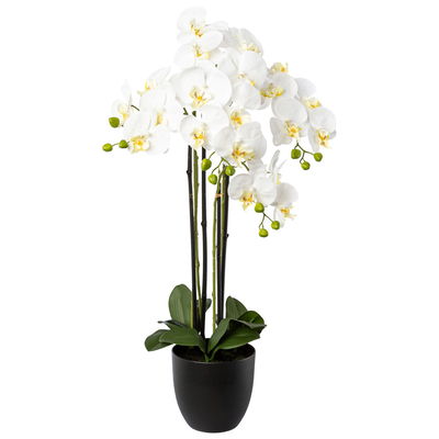 Kunstpflanze Phalaenopsis, weiß, Höhe ca. 83 cm Kunstpflanze Phalaenopsis, weiß, Höhe ca. 83 cm