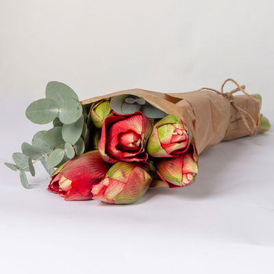 Schnittblumen-Mix aus 3 rot gefüllten Amaryllis & 3 Eukalyptus Schnittblumen-Mix aus 3 rot gefüllten Amaryllis & 3 Eukalyptus