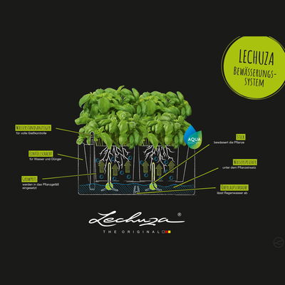 Lechuza 'Pila Color', sandbraun, ca. 35 x 35 x H 16,5 cm Lechuza 'Pila Color', sandbraun, ca. 35 x 35 x H 16,5 cm