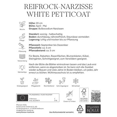 Reifrock-Narzisse 'White Petticoat', weiß, 10 Blumenzwiebeln Reifrock-Narzisse 'White Petticoat', weiß, 10 Blumenzwiebeln