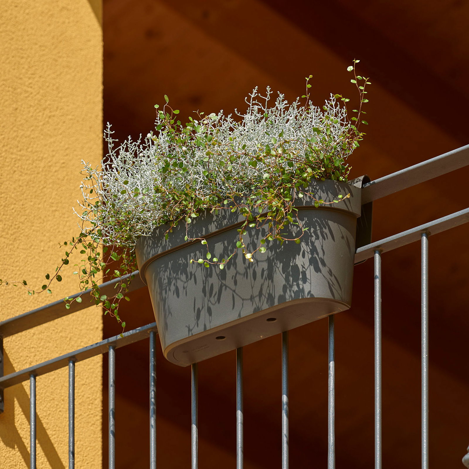 Euro 3 Plast Hängekasten 'UP Cassetta', anthrazit, ca. 50 x 21 x H 23 cm Euro 3 Plast Hängekasten 'UP Cassetta', anthrazit, ca. 50 x 21 x H 23 cm