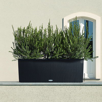 Lechuza 'Trio Cottage 30', granit, ca. 100 x 32,5 x H 34,5 cm