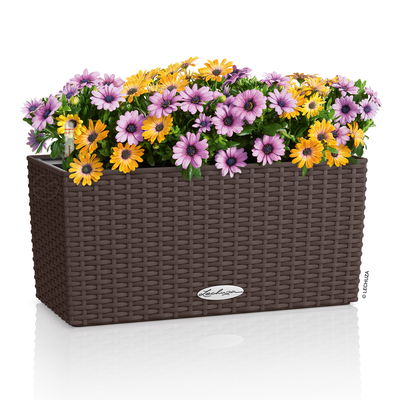 Lechuza 'Balconera Cottage 40', mokka, ca. 40 x 19 x H 19 cm