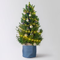 Weihnachtsbäumchen weiß-silber, Topf-Ø 25 cm, Höhe ca. 100 cm Weihnachtsbäumchen weiß-silber, Topf-Ø 25 cm, Höhe ca. 100 cm