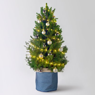Weihnachtsbäumchen weiß-silber, Topf-Ø 25 cm, Höhe ca. 100 cm Weihnachtsbäumchen weiß-silber, Topf-Ø 25 cm, Höhe ca. 100 cm