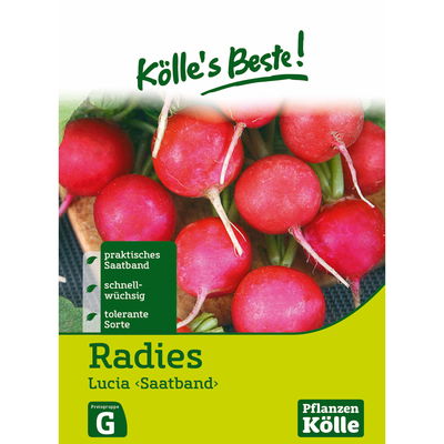 Kölles Beste Gemüsesamen Radies 