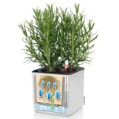 Lechuza 'Cube Color 16', schiefergrau, ca. 17 x 17 x H 16 cm