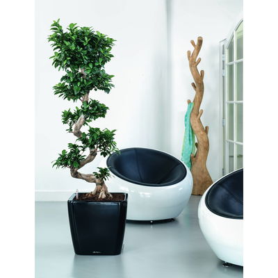 Lechuza 'Quadro LS 43', schwarz, ca. 43 x 43 x H 39 cm