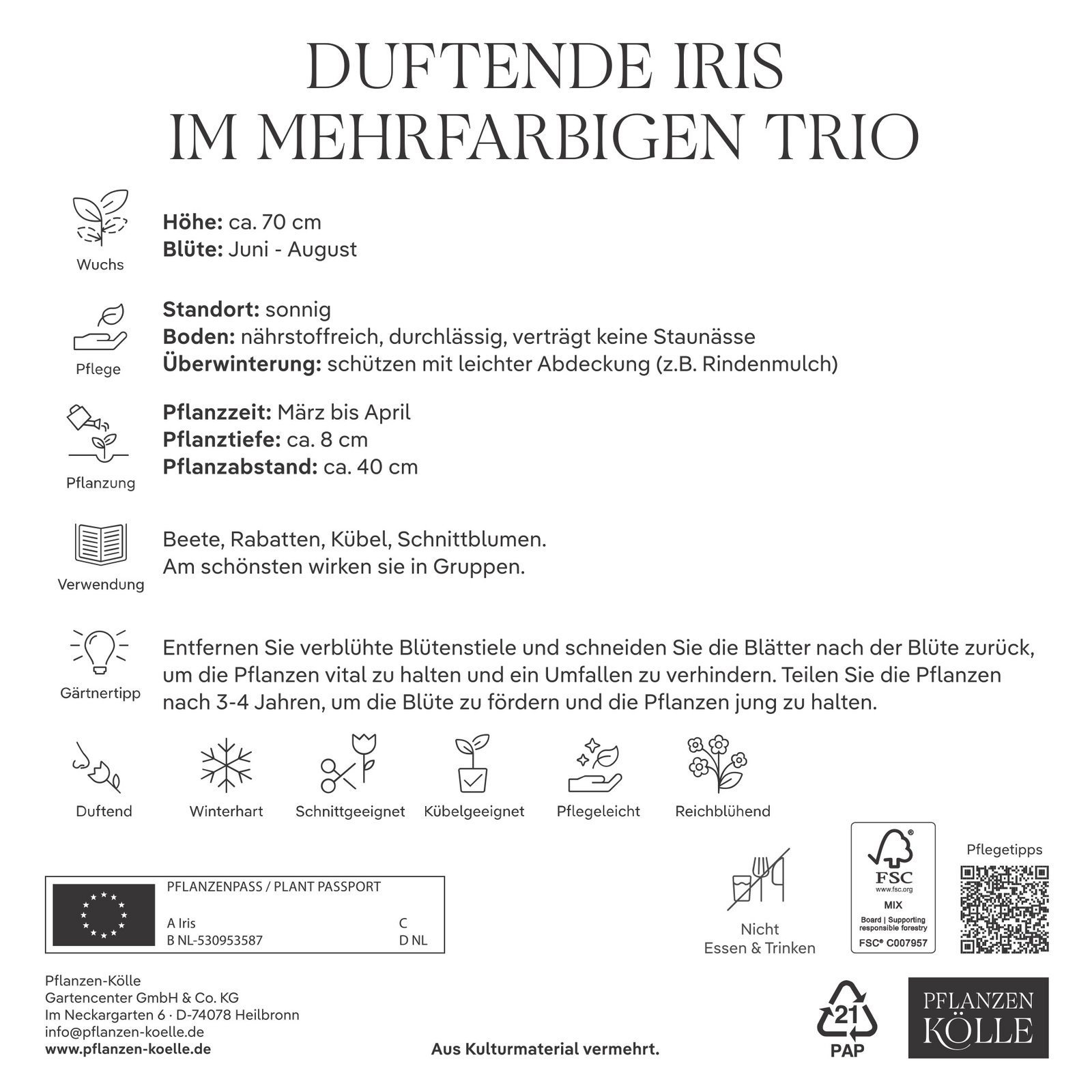 Kölles Beste Duftende Iris Mischung Trio, 3 Blumenknollen