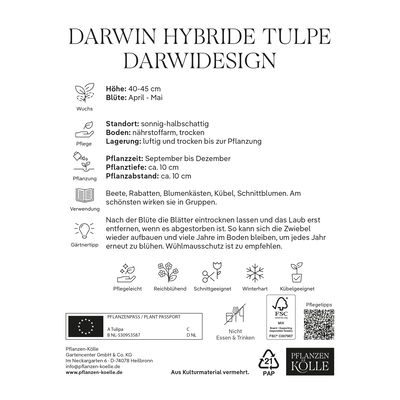 Kölles Beste Darwin-Tulpe 'Darwidesign®', rot, 7 Blumenzwiebeln Kölles Beste Darwin-Tulpe 'Darwidesign®', rot, 7 Blumenzwiebeln