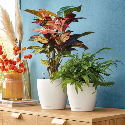 Lechuza 'Classico Color 28', weiß, ca. Ø 27,5 x H 26 cm Lechuza 'Classico Color 28', weiß, ca. Ø 27,5 x H 26 cm