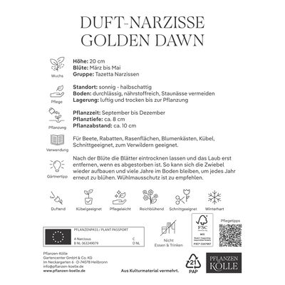 Botanische Narzissen Golden Dawn gelb/orange, 10 Blumenzwiebeln Botanische Narzissen Golden Dawn gelb/orange, 10 Blumenzwiebeln