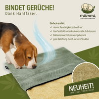 Mümmi by Rohrschneider Hundematte Cord, salbei, ca. 44 x 50 x 2 cm Mümmi by Rohrschneider Hundematte Cord, salbei, ca. 44 x 50 x 2 cm