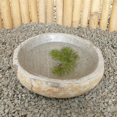 Mini-Flusssteinbecken, 30 x 30 x 13 cm