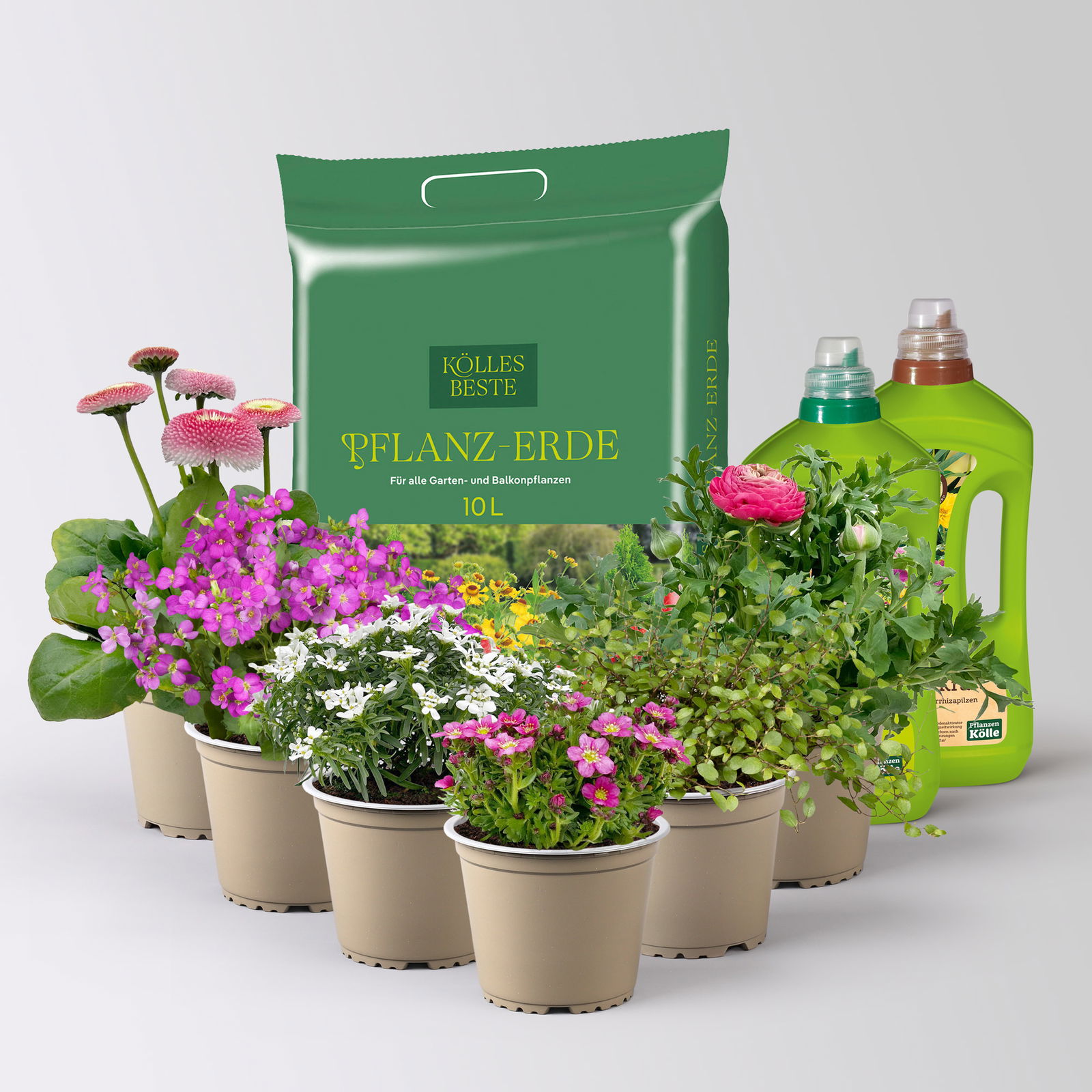 Pflanzenkreation Gartenromantik, 6 Pflanzen inkl. Erde und Dünger