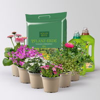 Pflanzenkreation Gartenromantik, 6 Pflanzen inkl. Erde und Dünger