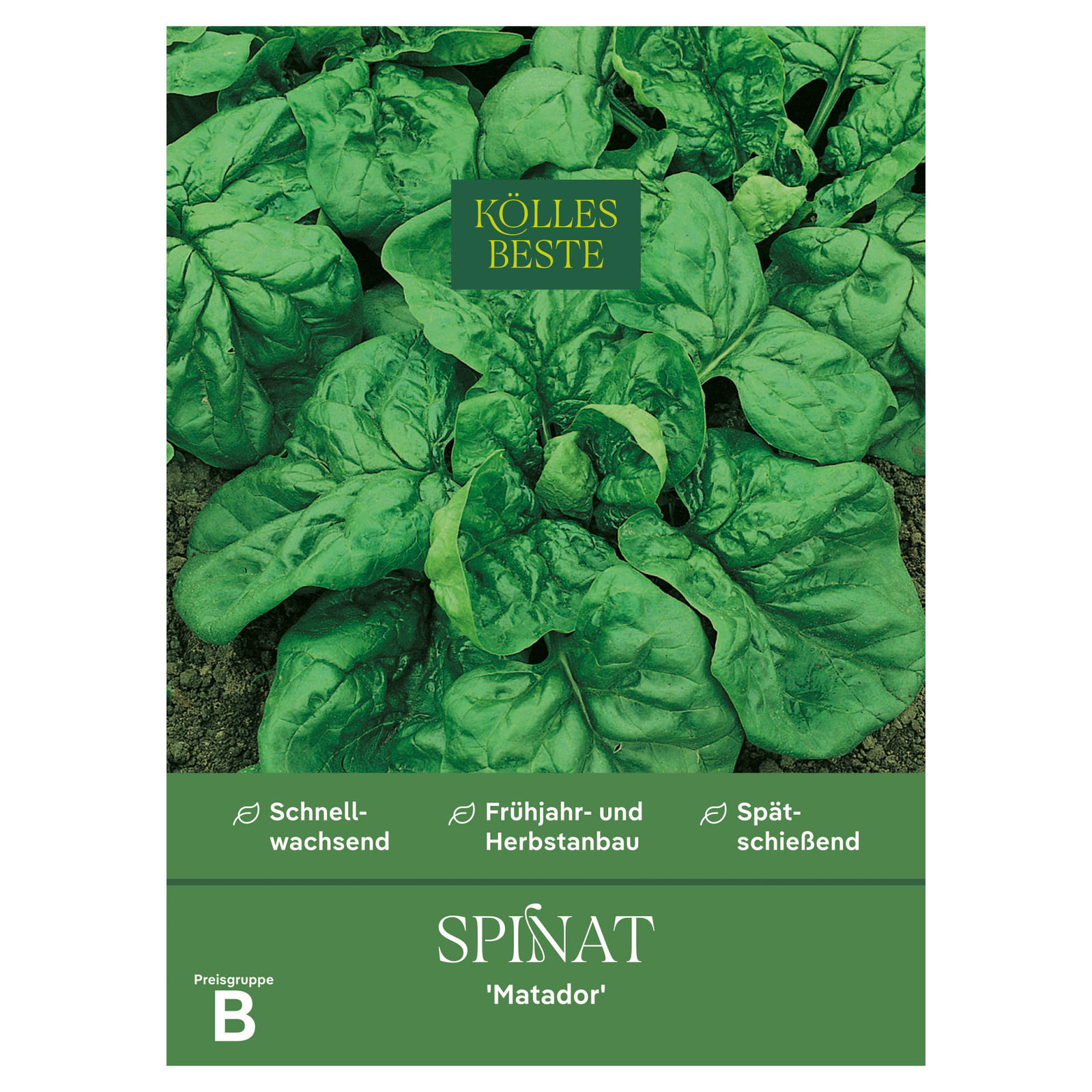 Kölles Beste Gemüsesamen, Spinat 
